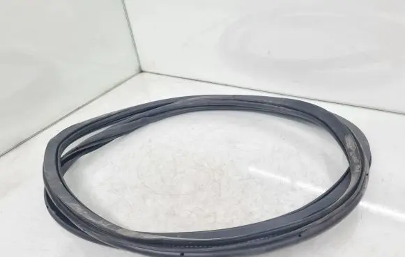 Polestar 2 Rear door rubber seal (on body) 31662570