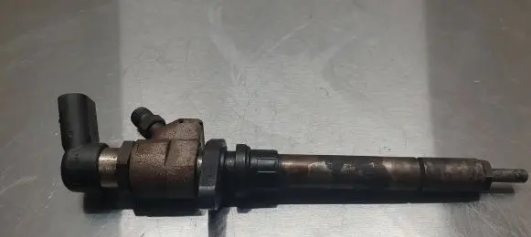 Citroen C5 Fuel injector 892080