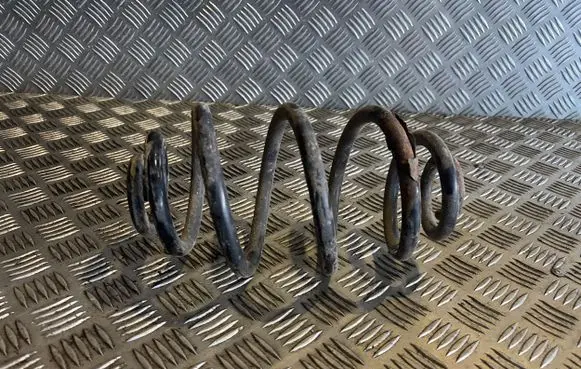 Volkswagen PASSAT B5.5 Rear coil spring