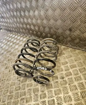 Rear coil spring