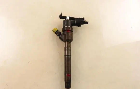 Hyundai i30 Fuel injector 338002A900 0445110320