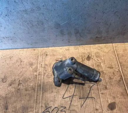 Mercedes-Benz E W124 Thermostat/thermostat housing 6012030331