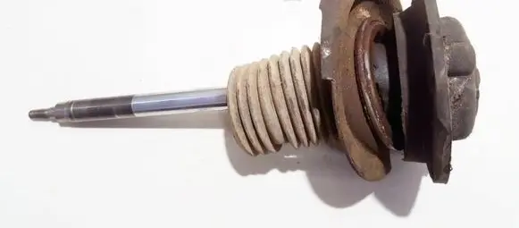 Coil spring mount