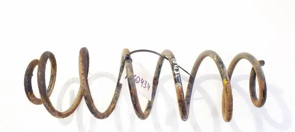 Rear coil spring