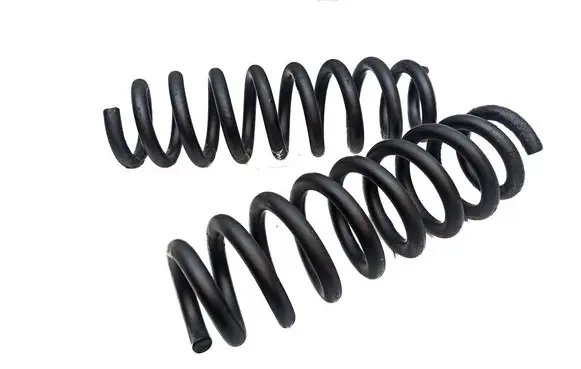 Rear coil spring