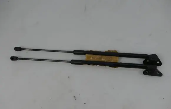 BMW X1 E84 Tailgate/trunk strut/damper 2990136