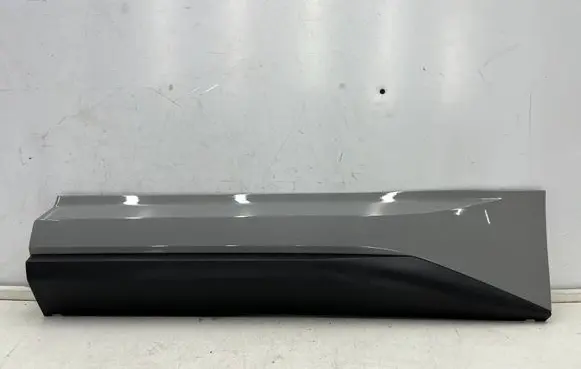 Skoda Kodiaq Rear door trim (molding) 565854949a