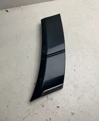 Mercedes-Benz S W140 Rear door trim (molding) 1406907740