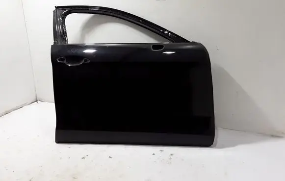 Porsche Panamera (971) Front door 971831022Y