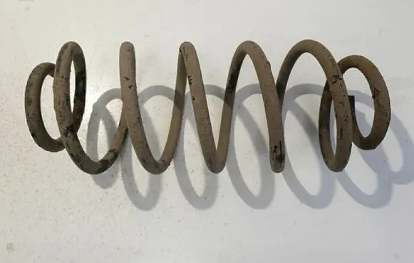Rear coil spring