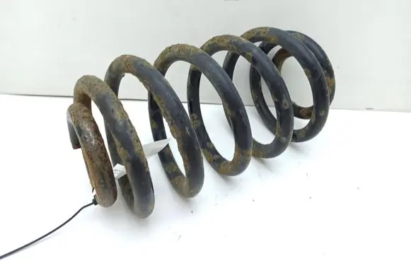 Rear coil spring