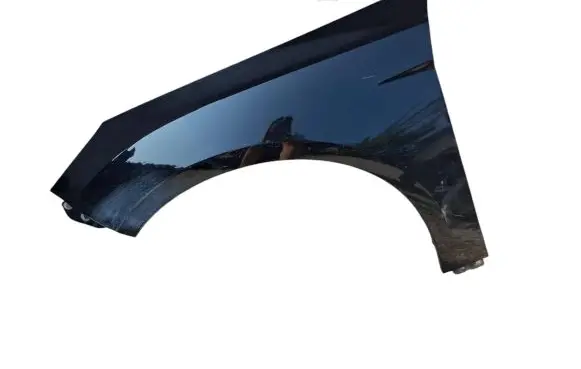 Ford Focus Fender