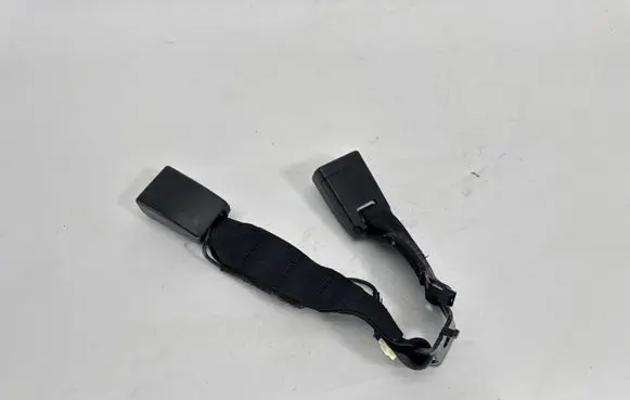 BMW 1 F20 F21 Middle seatbelt buckle (rear) 7355471