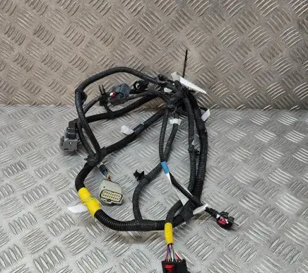 Other wiring loom