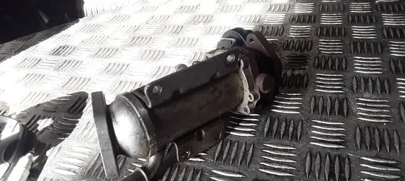 Renault Trafic II (X83) EGR valve cooler 8200340616
