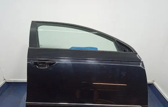 Volkswagen PASSAT B6 Front door