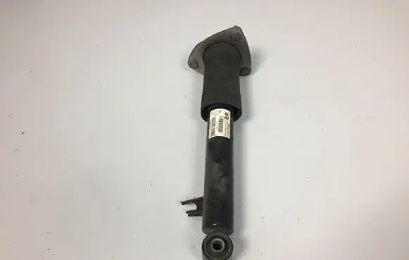 BMW X5 E70 Rear shock absorber/damper 6781926