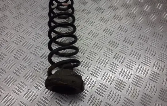 Renault Megane II Rear coil spring