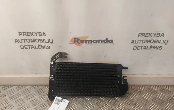 Renault Trafic III (X82) Fuel cooler (radiator) 175104049R