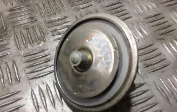Volkswagen PASSAT B5 Horn signal CH5070105