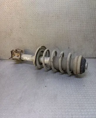 Opel Zafira B Front shock absorber with coil spring