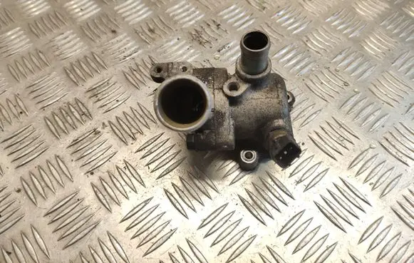 Thermostat/thermostat housing