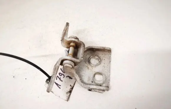 Dacia Sandero Rear door lower hinge