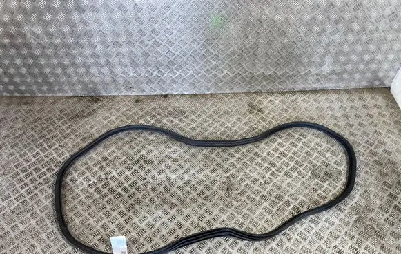 BMW X3 G01 Front door rubber seal 7393423