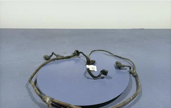 Audi A3 S3 A3 Sportback 8P Other wiring loom 8P3971085