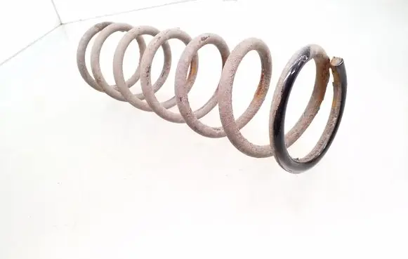 Rear coil spring