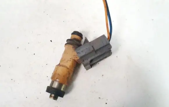 Subaru Outback Fuel injector 009042786