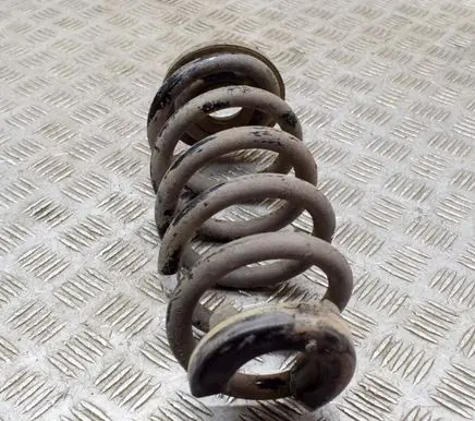Volkswagen ID.3 Rear coil spring 1EA511103C