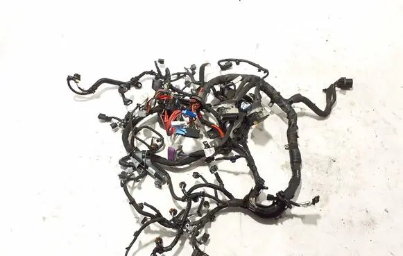 Renault Trafic III (X82) Engine installation wiring loom 240117392S