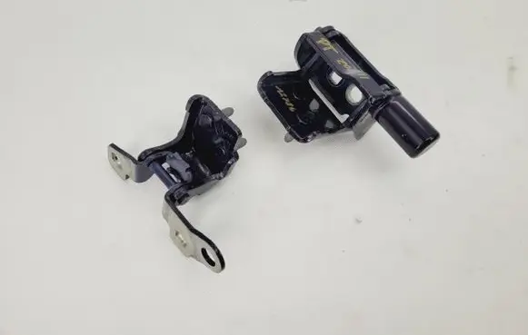 Renault Zoe Rear door hinge set 