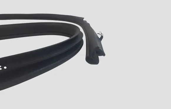 Nissan Leaf II (ZE1) Front door rubber seal