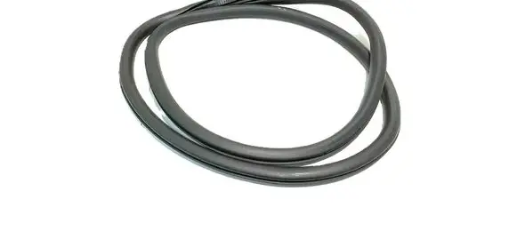 Peugeot 308 Front door rubber seal 9830829080 31119