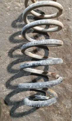 Rear coil spring