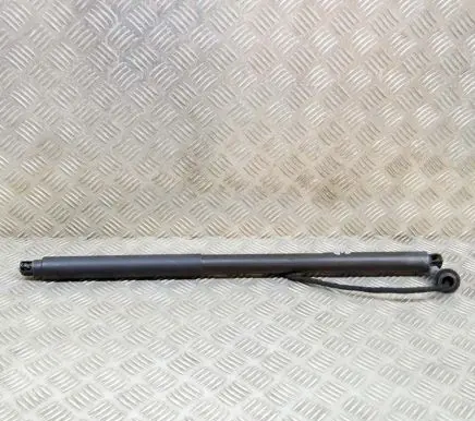 Tailgate/trunk strut/damper