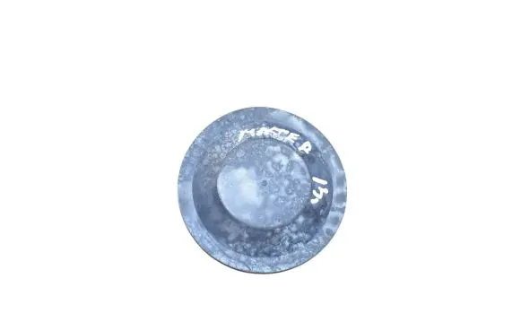 Renault Master III Headlight/headlamp dust cover 205079C1