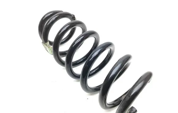 Rear coil spring