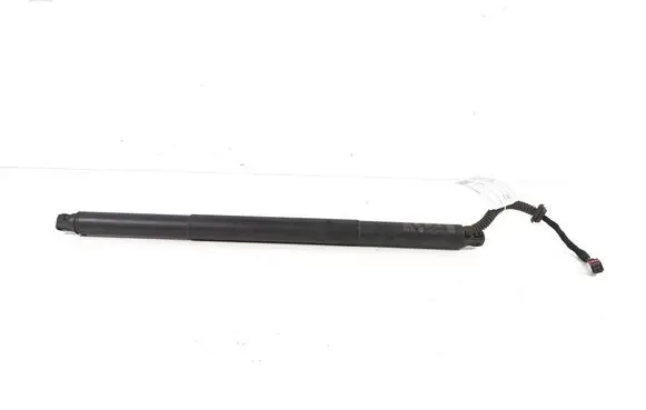Tailgate strut