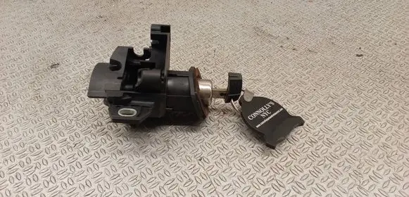 BMW 3 E90 E91 Tailgate exterior lock 7117926