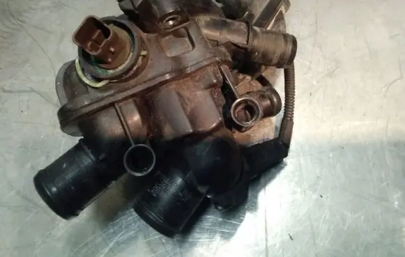 Thermostat/thermostat housing