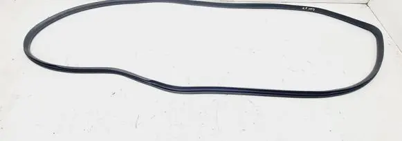 Nissan Note (E11) Front door rubber seal