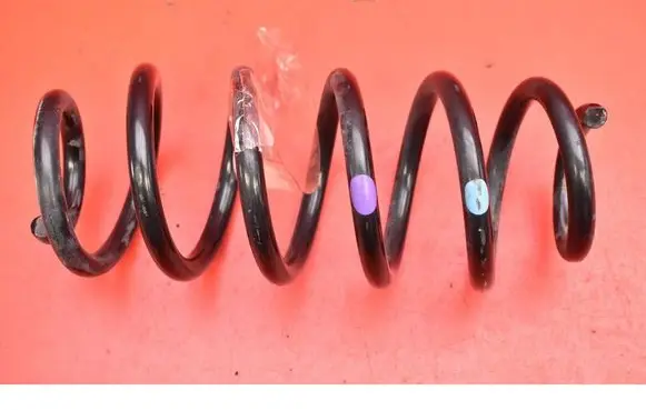 Rear coil spring