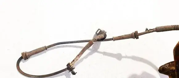 Other wiring loom