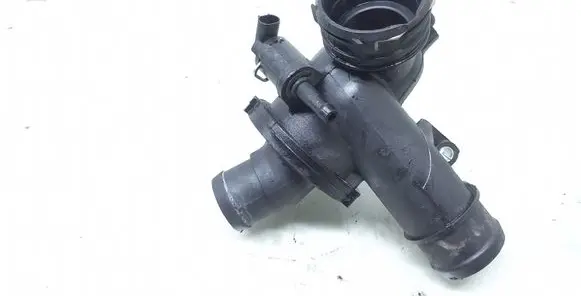 Thermostat/thermostat housing