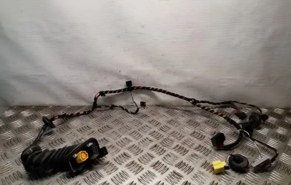 Front door wiring loom