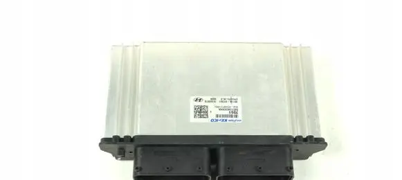 Engine control unit/module ECU