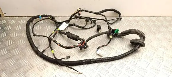 Tesla Model Y Front door wiring loom 161667806D